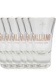 Galliano mit Eichstrich 6 Stck Shotglser