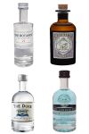 Gin Probierset Duke 5 cl + Botanist 5 cl + Monkey 47 + London Blue + Goldberg Ginger Ale in Dose 0,15 Liter