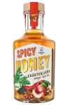 Schlitzer Burgen Spicy Honey Kruterlikr 0,5 Liter