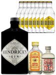 Gin-Set Hendricks Gin 0,7 Liter + Siegfried Gin 4cl + Gordons Gin 5cl + 8 x Goldberg Tonic 0,2 Liter