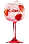 Gordons Pink GIN STIELGLAS 1 Stück