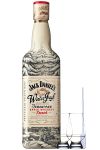 Jack Daniels Winter Jack Apple Whisky Punch 0,7 Liter + 2 Glencairn Gläser + Einwegpipette 1 Stück