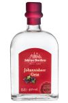 Schlitzer Johannisbeer-GEIST 40 % 0,5 Liter